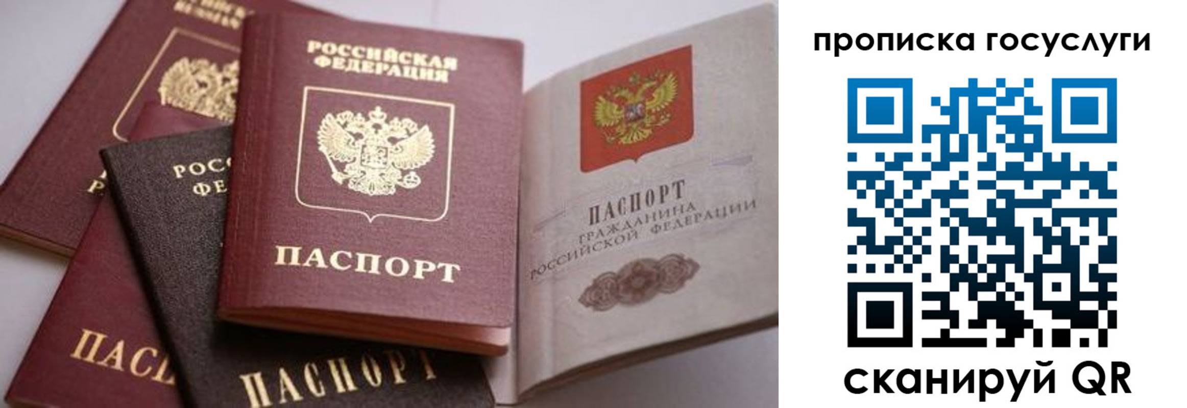 прописка иностранных граждан в Волгодонске